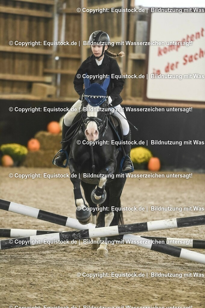 20231029_06_Springreiter-WB_0049 | Foto: Thomas Hartig