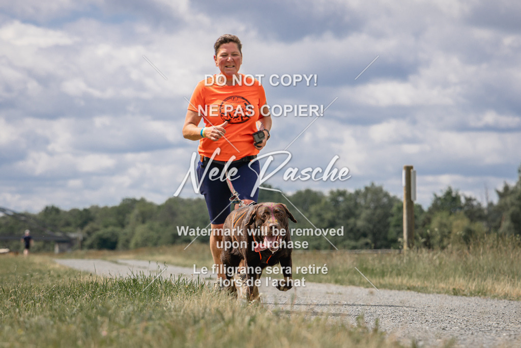 nelerasche_BuHu2026_SaCC1100-1200_184 | nelerasche