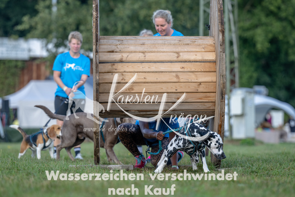1014_ZZ91900 | kk-dogfotos