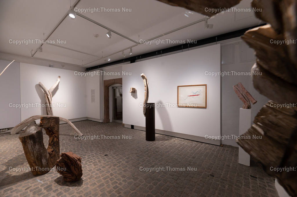 DSC_9335 | Museum Bensheim, Ausstellung Jochen Walpoth, 