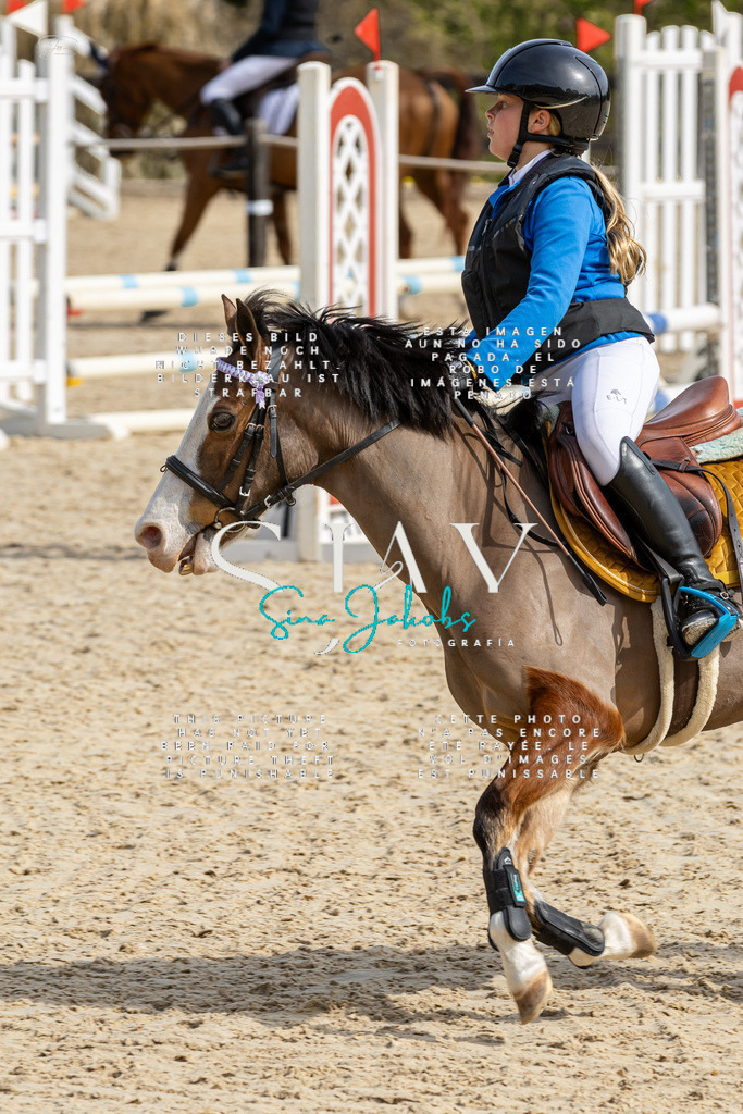 IMG_3287 | s-jay-photography - Realisiert mit Pictrs.com