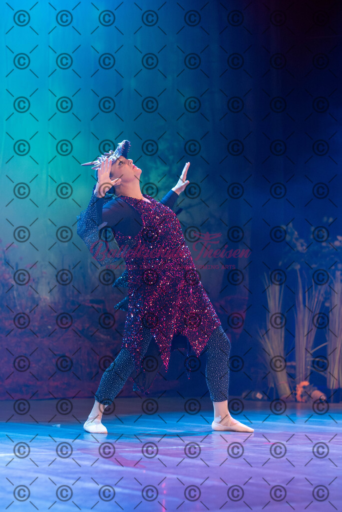 Ballettaufführung-1427 | Bildershop Lem'n Entertainment - Realisiert mit Pictrs.com
