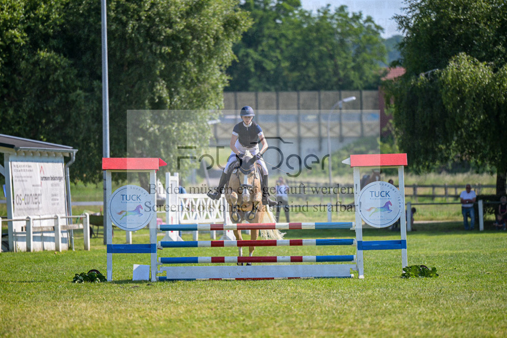 Reitturnier Voxtrup | Entdecke hochwertige Reitturnierfotos von Foto Oger. Professionell, emotional und authentisch – jetzt Lieblingsmomente im Shop bestellen.Deutschlandweite Turnierfotografie. - Realisiert mit Pictrs.com