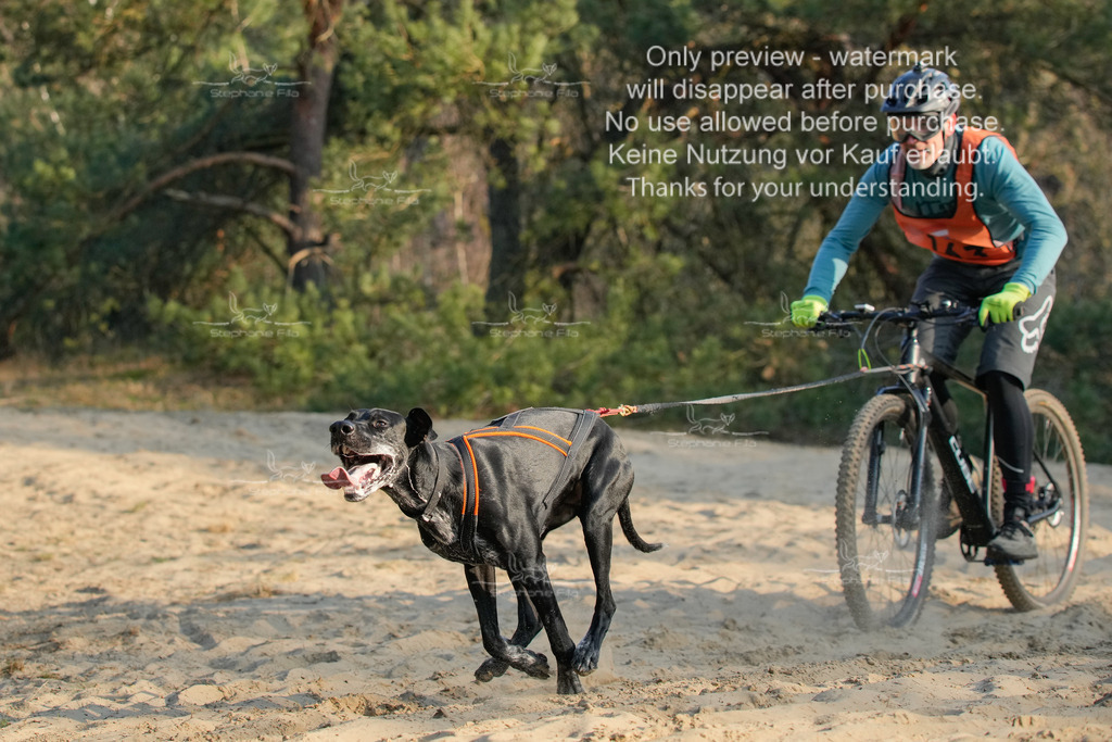 So_2_Bike-49 | stephaniefillaphotographie - Realisiert mit Pictrs.com