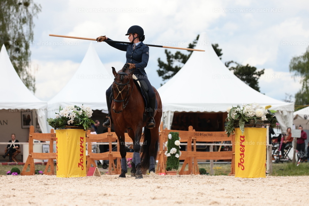 PI26_ST_StoibphotographyC2_L8863.JPG | working equitationturnier fotograf videograf stoibphotography marixx film working equitation deutschland reitsport turnierfotografie eventfotografie equestrian events