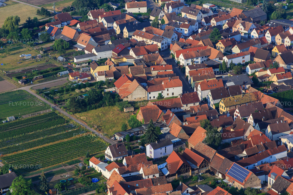 Luftbild: Pfalzstr in Zeiskam im Bundesland Rheinland-Pfalz in Deutschland. Foto: IMG_080621.jpg vom 12.06.2015 durch Werner Riehm/FLY-FOTO.de