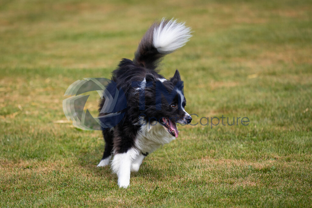 TP-20240815-0112 | Copyright: Trainproduction / Matthias Trinkl