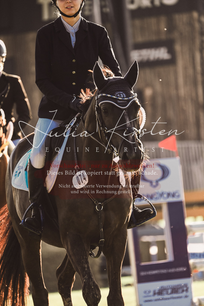 DSC_4585 | Pferde- und Turnierfotografie in Westsachsen. Pferdeportraits, Auftragszeichnungen und intuitive Kunst.