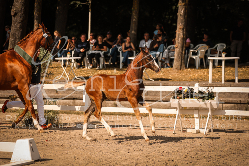 09.DoWBD00126 | Leoni Ertmer Photography - Realisiert mit Pictrs.com