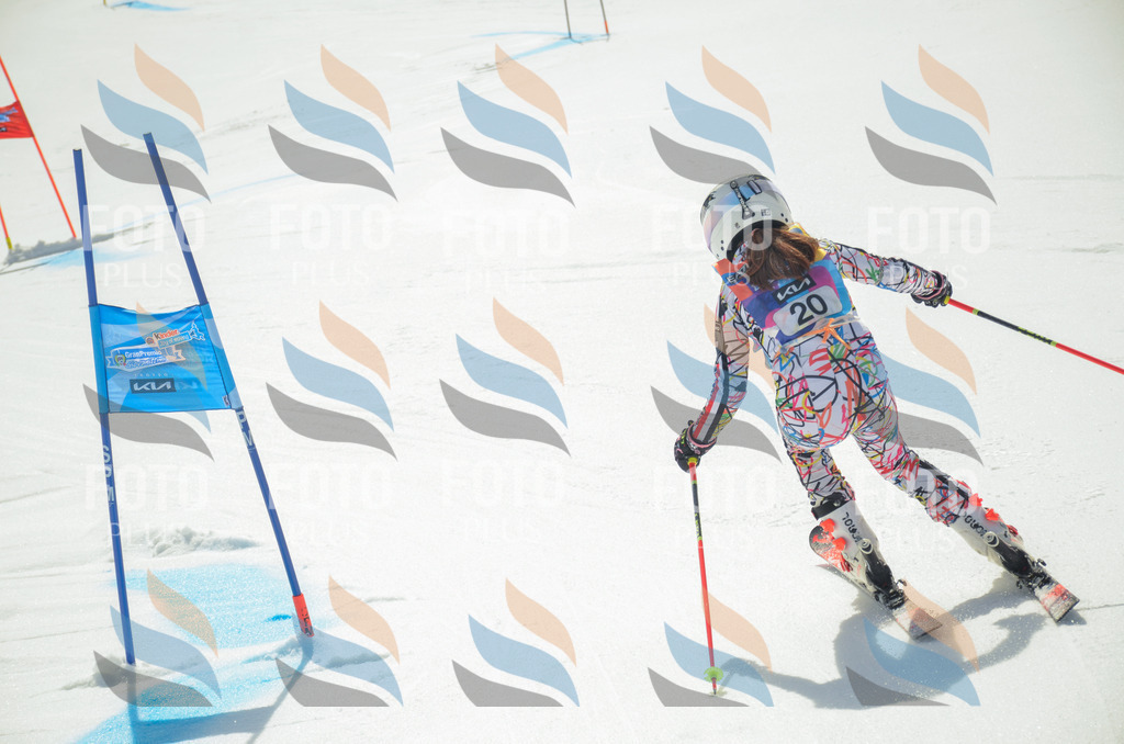 _ELE4729 | holidayphoto