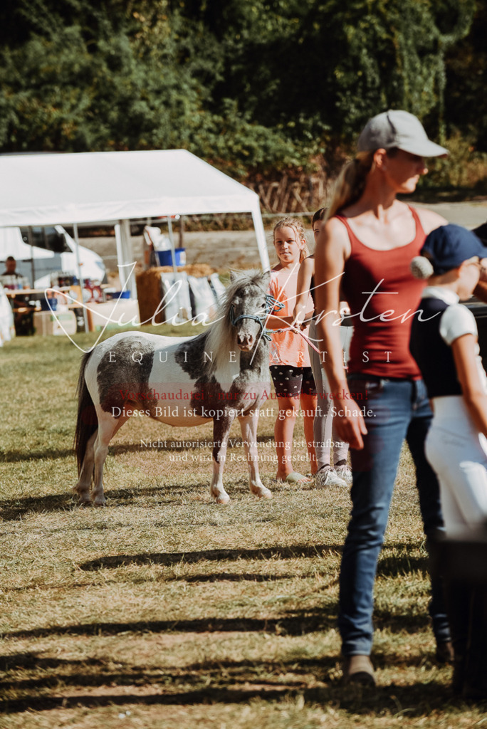 DSC_6015 | Pferde- und Turnierfotografie in Westsachsen. Pferdeportraits, Auftragszeichnungen und intuitive Kunst.