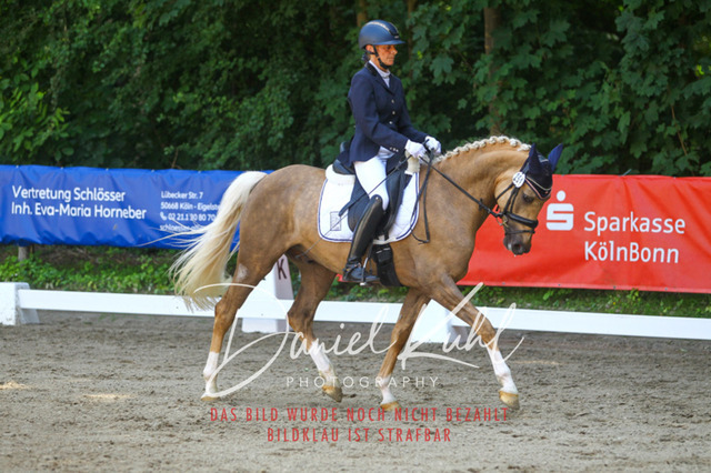 DKP42345 | Turniersportfotografie; Pferdefotografie; Dressurfotografie