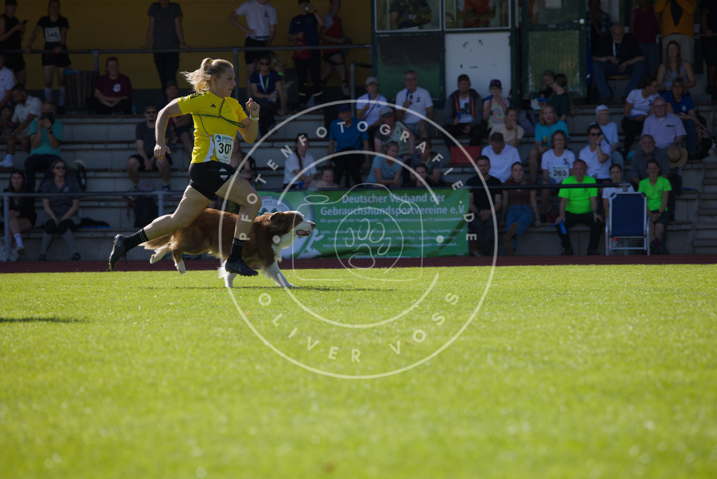 0L8A8482 | Hundefotografie, Tierfotograf, Pfotenfotografie, Fotoshooting Hund, Hunde Portrait, Hundesport, Hundeportraits, Heideshooting, Hunde, Sportfotograf, Hundefotograf, Turnierhundsport, THS,  - Realisiert mit Pictrs.com