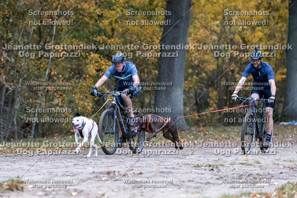 Dog Paparazzi - SD CaniX Championship 2025-68 | Dog Paparazzi Jeanette Grottendiek Fotografie & Videografie - Realisiert mit Pictrs.com