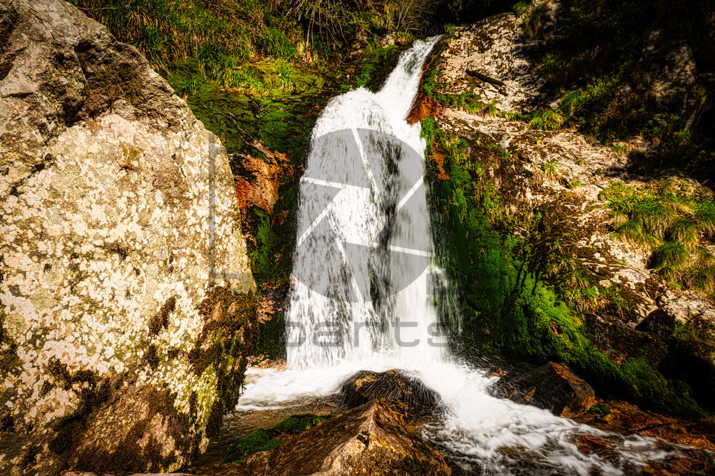 Allerheiligen Wasserfälle | Diese Wasserfälle gehören zu den größten und schönsten im Schwarzwald. Man fühlt sich fast wie im Hochgebirge Österreichs oder der Schweiz. Der 1840 erschlossene Wasserfall fällt über mehrere Ebenen knapp 90 Meter in die Tiefe während Wanderer ihn auf seinem Weg auf Pfaden, Treppen und über Brücken hinweg begleiten können. - Realisiert mit Pictrs.com