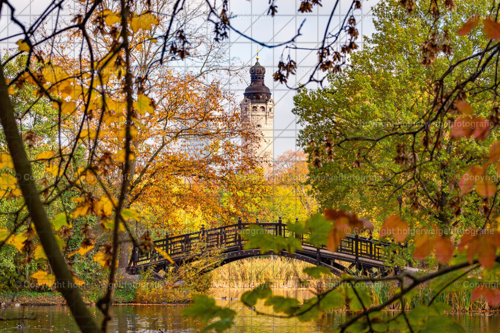 20241101141017D75_7792 | Kaufen sie online außergewöhnliche Fotografien auf Leinwand Acrylglas Fotoprint Aludibond von holgerweigeltfotografie - Realisiert mit Pictrs.com