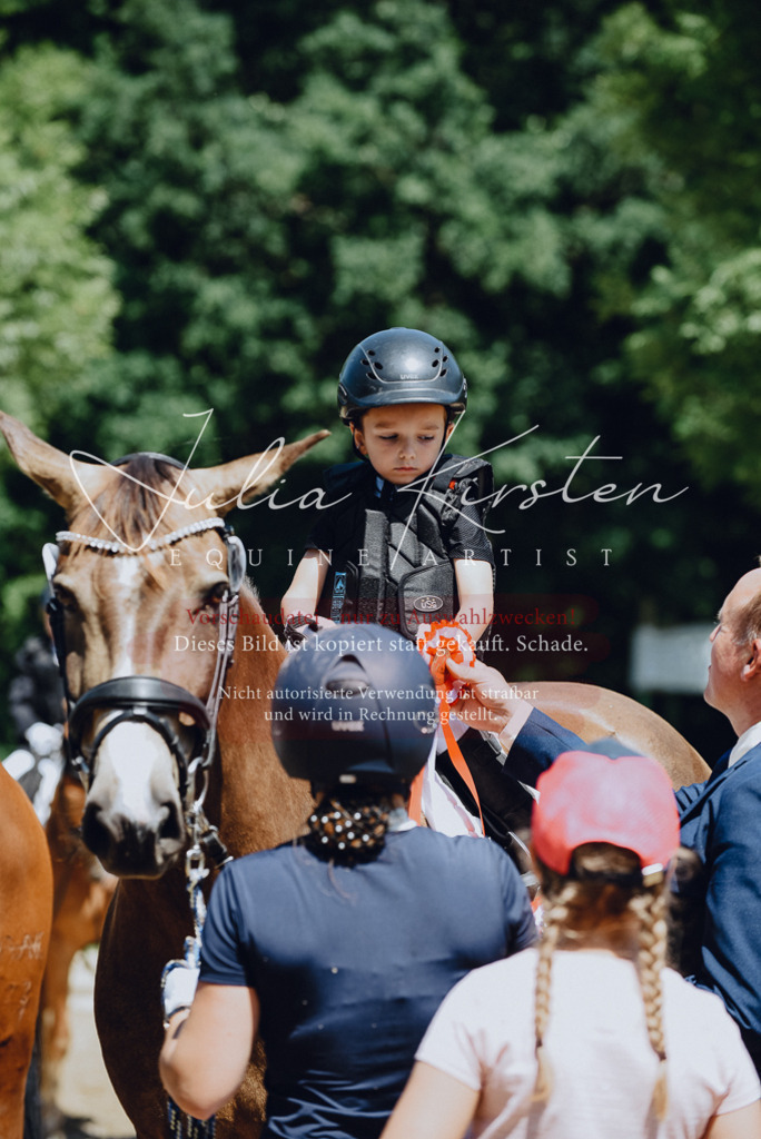 DSC_2642 | Pferde- und Turnierfotografie in Westsachsen. Pferdeportraits, Auftragszeichnungen und intuitive Kunst.