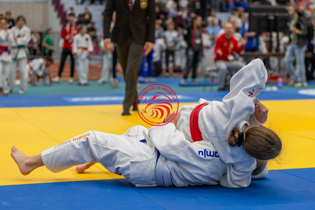 Internationaler Adler Cup 2024 | Foto vom Internationalen Adler Cup Judo Turnier im Sport- und Freizeitzentrum Kalbach im Oktober 2024 - Realisiert mit Pictrs.com