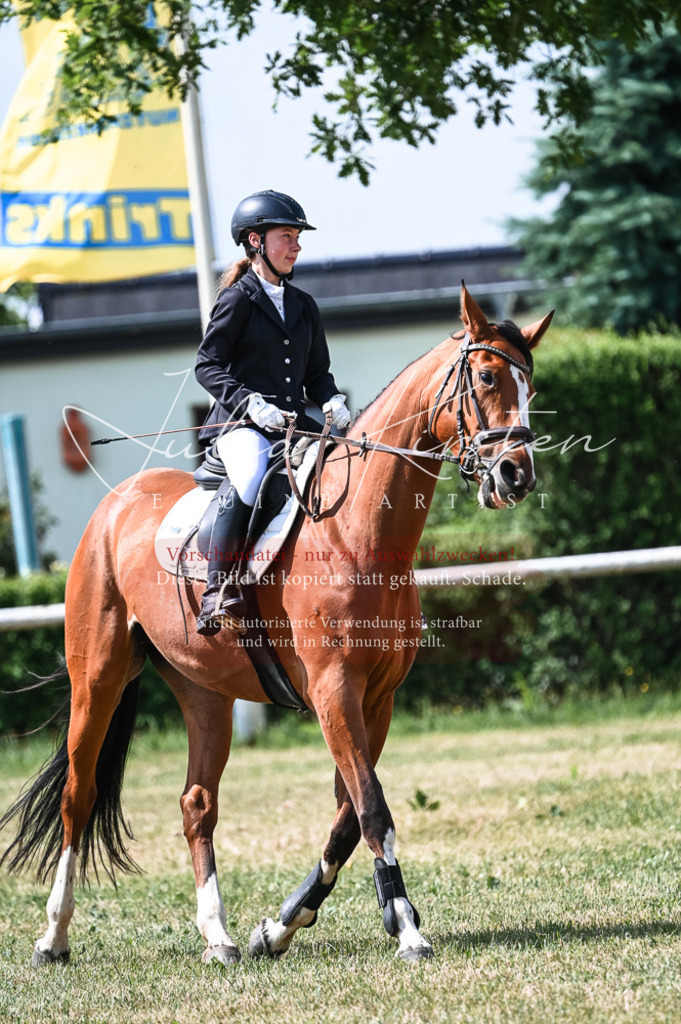DSC_8671 | Pferde- und Turnierfotografie in Westsachsen. Pferdeportraits, Auftragszeichnungen und intuitive Kunst.