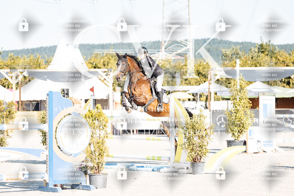 CK904134 | Turnierfotografie Pferdefotografie Trier Rheinland-Pfalz Pferdesport Reitsport Tierfotografie Sportfotografie Pferdevideo Pferdevideografie Equestrianvideography equestrianphotography  - Realisiert mit Pictrs.com