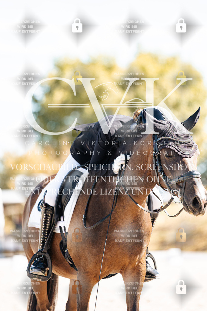 CK909687 | Turnierfotografie Pferdefotografie Trier Rheinland-Pfalz Pferdesport Reitsport Tierfotografie Sportfotografie Pferdevideo Pferdevideografie Equestrianvideography equestrianphotography  - Realisiert mit Pictrs.com