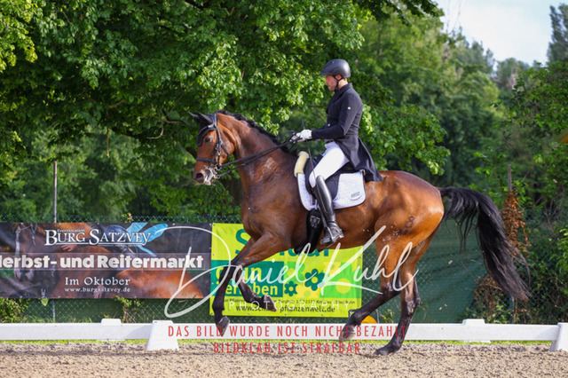 DKP41765 | Turnierfotos kaufen im Webshop von Daniel Kuhl Photography – entdecke professionelle Reitsportfotos aus Turnieren & Events. Hochwertige Turnierbilder online bestellen & sichern. Jetzt Fotos von Reitsportturnieren kaufen!