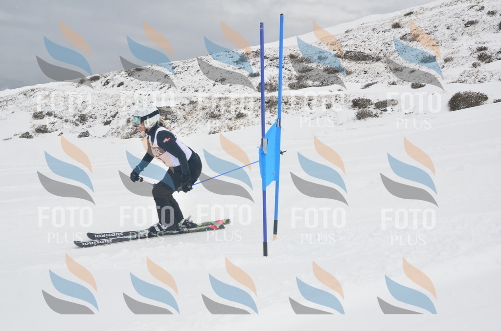 A5745 | holidayphoto