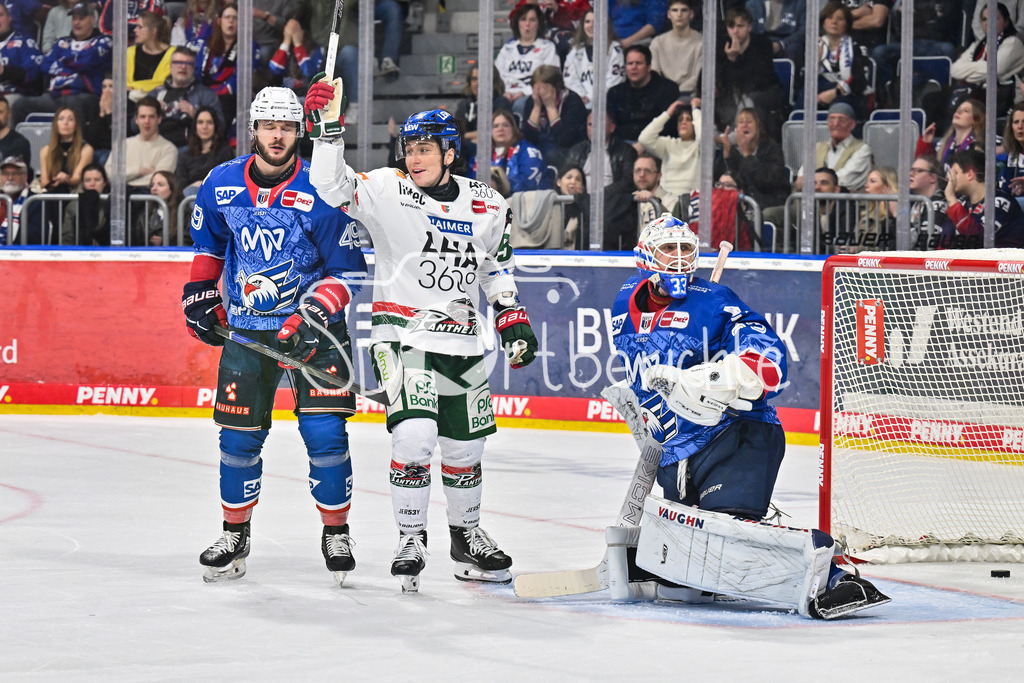 Adler Mannheim - Augsburger Panther | MANNHEIM, DEUTSCHLAND - 25. FEBRUAR: Jubel der Panther nach dem Treffer zum 1-1 durch David FARRANCE (Augsburger Panther 4) / Tor / Torschuetze / Freude / Happy während dem Match zwischen den Adler Mannheim und den Augsburger Panthern am 45. Spieltag der Penny DEL in der SAP Arena
