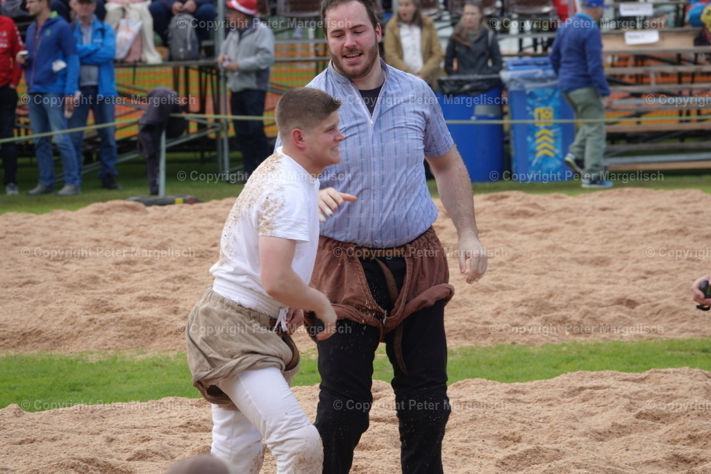 DSC04033 | Schwingen - Realisiert mit Pictrs.com
