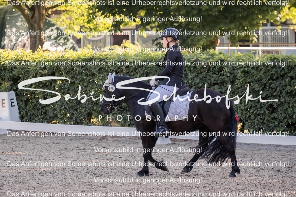 2025_05_31_DSCF2809 | People- und Tierfotografie, Imageaufnahmen, Veranstaltungsfotografie und Wandbilder aus der Natur ★ Made in Germany ✔️ Druck + Downloads ✔️ Naturfotografie in Top Qualität ★ schneller Versand, weltweite Lieferung! - Realisiert mit Pictrs.com