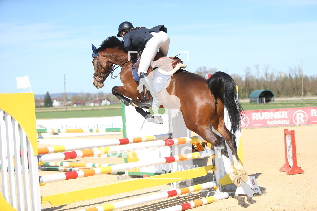 DL2Q5622 | Willkommen bei Brunnmayr - Design & Fotografie – Ihrem Spezialisten für Reitturniere und Pferdeveranstaltungen in Oberösterreich, Salzburg und Bayern! Seit über 17 Jahren sind wir leidenschaftlich dabei.