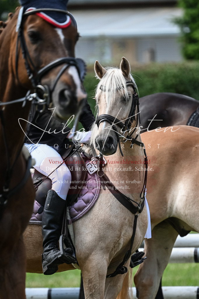 DSC_8684 | Pferde- und Turnierfotografie in Westsachsen. Pferdeportraits, Auftragszeichnungen und intuitive Kunst.