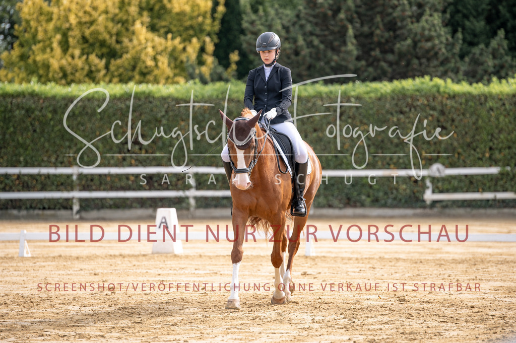 Schugtsche-Aluta25-40.DressurprfA_-182 | Schugtsche Fotografie - Realisiert mit Pictrs.com