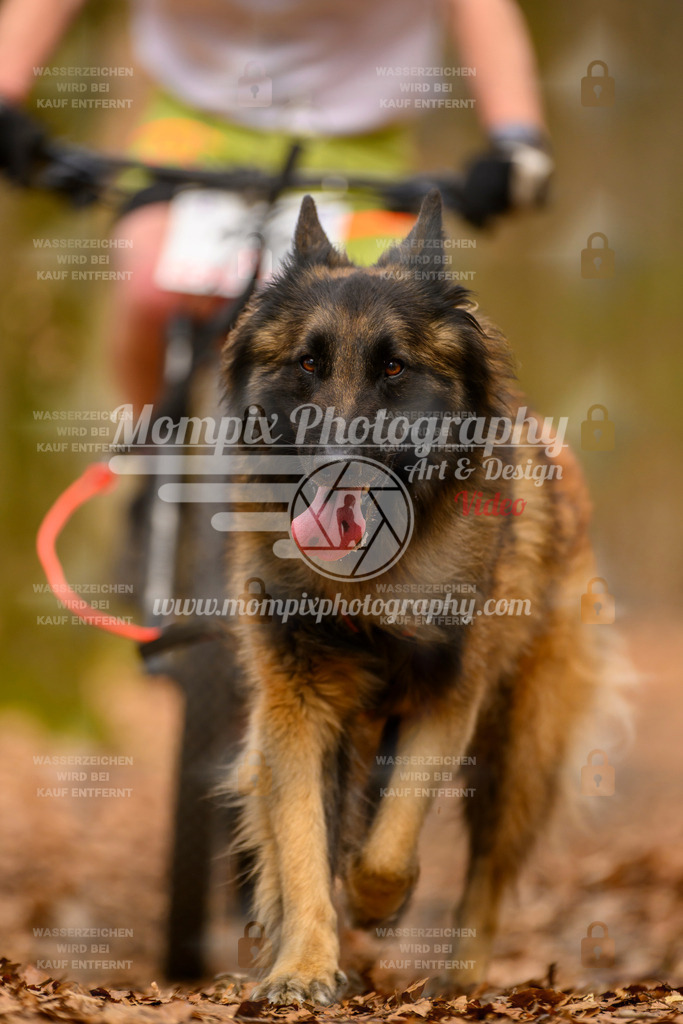 MompixPhotography_Habay2025_SA_Bike-187 | PayLife