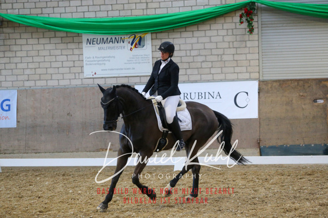 IMG_2889 | Turnierfotos kaufen im Webshop von Daniel Kuhl Photography – entdecke professionelle Reitsportfotos aus Turnieren & Events. Hochwertige Turnierbilder online bestellen & sichern. Jetzt Fotos von Reitsportturnieren kaufen!
