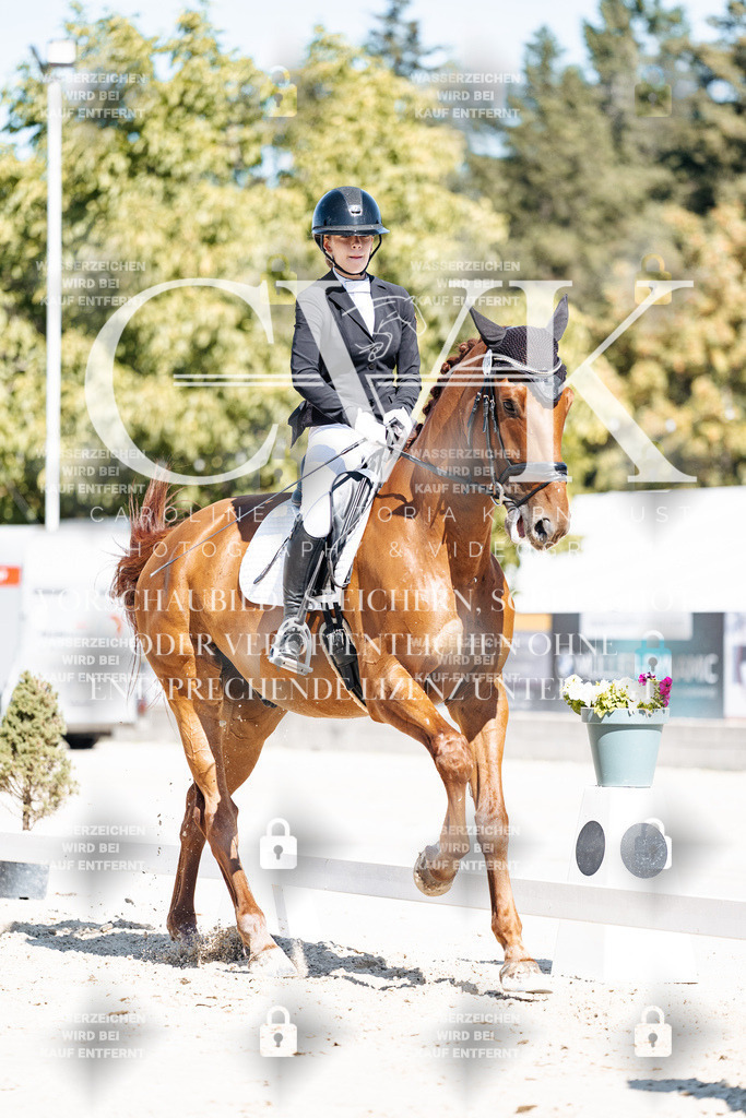CK909548 | Turnierfotografie Pferdefotografie Trier Rheinland-Pfalz Pferdesport Reitsport Tierfotografie Sportfotografie Pferdevideo Pferdevideografie Equestrianvideography equestrianphotography  - Realisiert mit Pictrs.com