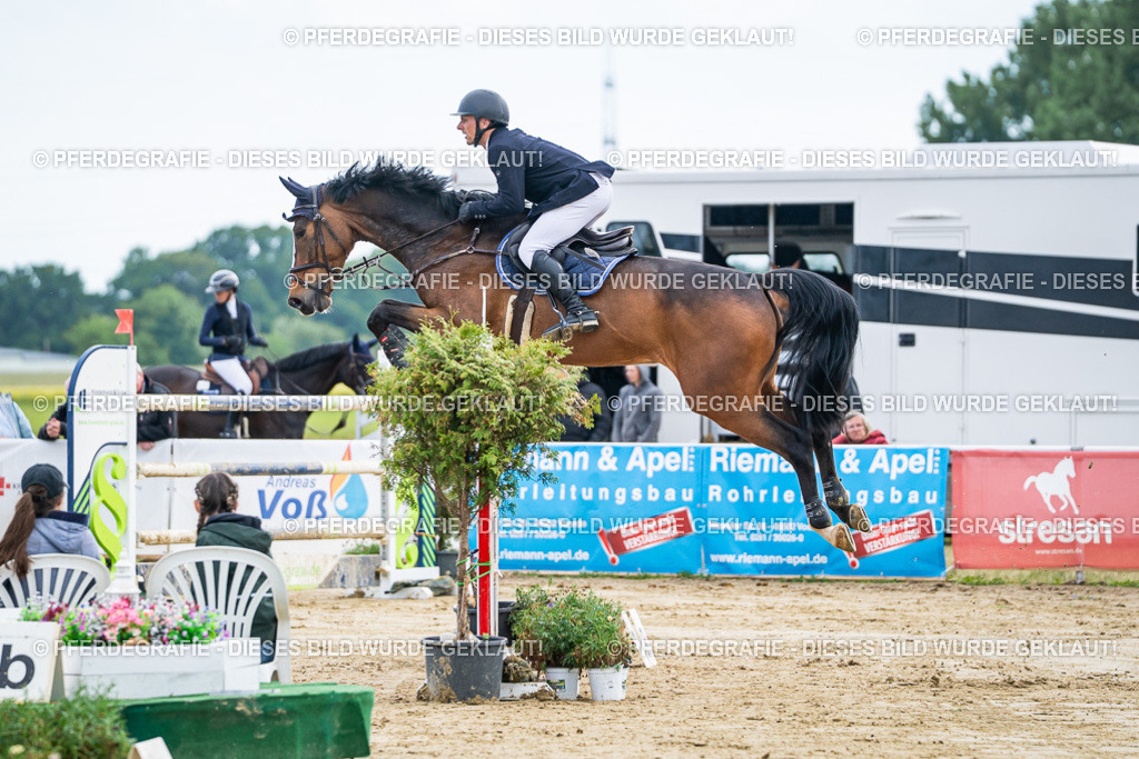 DSC06838 | Pferdegrafie