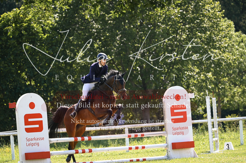 DSC_8778 | Pferde- und Turnierfotografie in Westsachsen. Pferdeportraits, Auftragszeichnungen und intuitive Kunst.