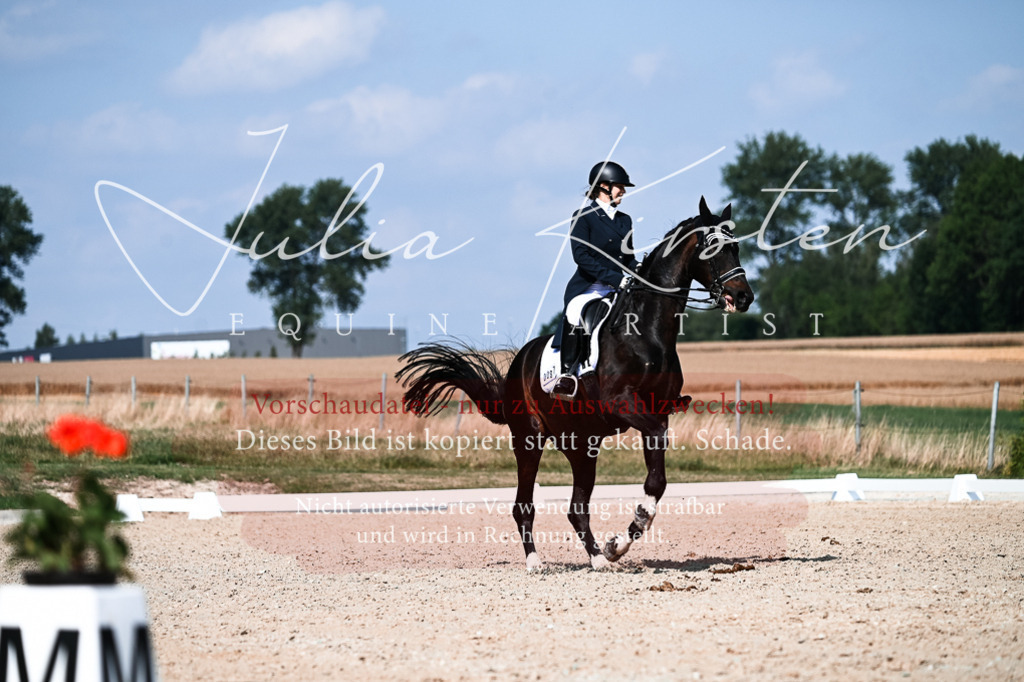 DSC_3325 | Pferde- und Turnierfotografie in Westsachsen. Pferdeportraits, Auftragszeichnungen und intuitive Kunst.