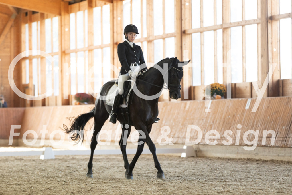 IMG_3487 | Creatify Fotografie