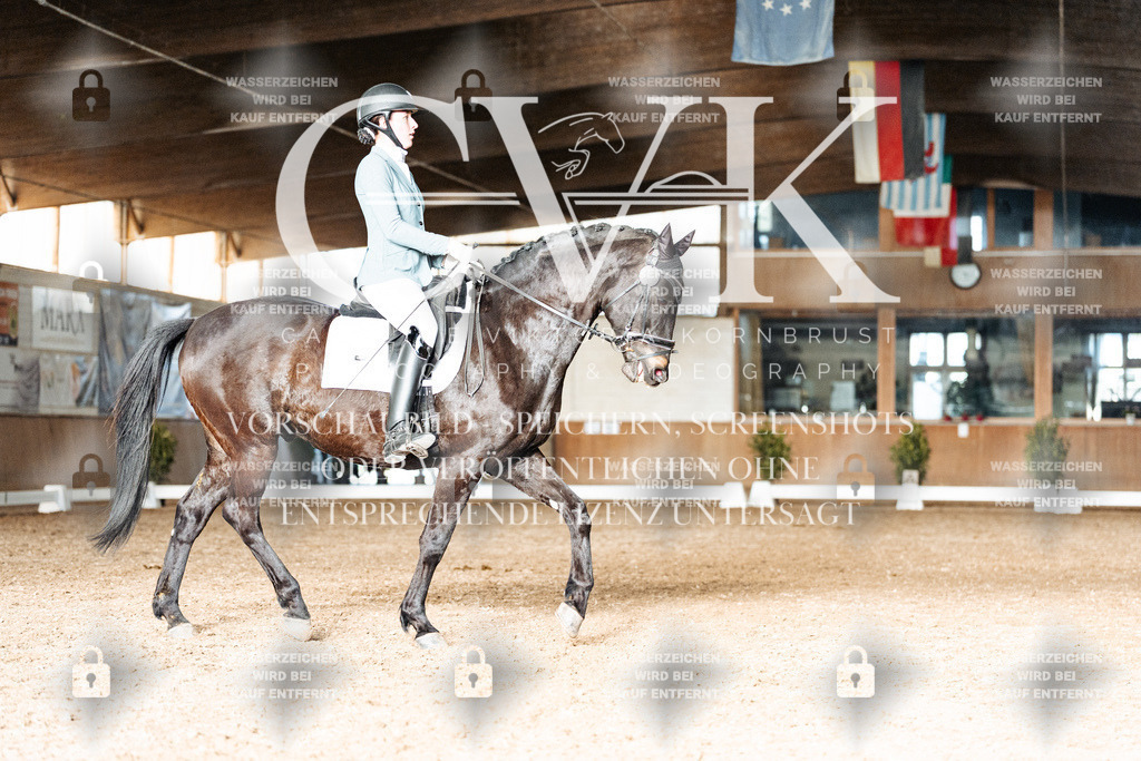 CK903198 | Turnierfotografie Pferdefotografie Trier Rheinland-Pfalz Pferdesport Reitsport Tierfotografie Sportfotografie Pferdevideo Pferdevideografie Equestrianvideography equestrianphotography  - Realisiert mit Pictrs.com