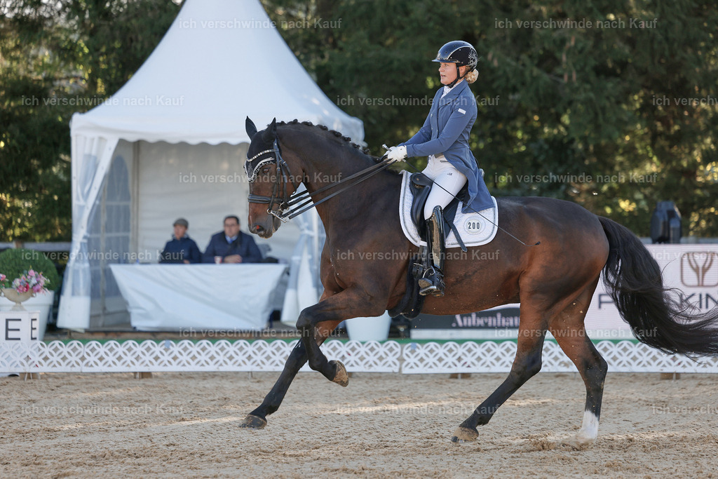 09_1-200-DRESSUR  S_  -StoibPH-5534 | working equitationturnier fotograf videograf stoibphotography marixx film working equitation deutschland reitsport turnierfotografie eventfotografie equestrian events