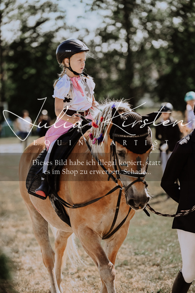 DSC_8991 | Pferde- und Turnierfotografie in Westsachsen. Pferdeportraits, Auftragszeichnungen und intuitive Kunst.