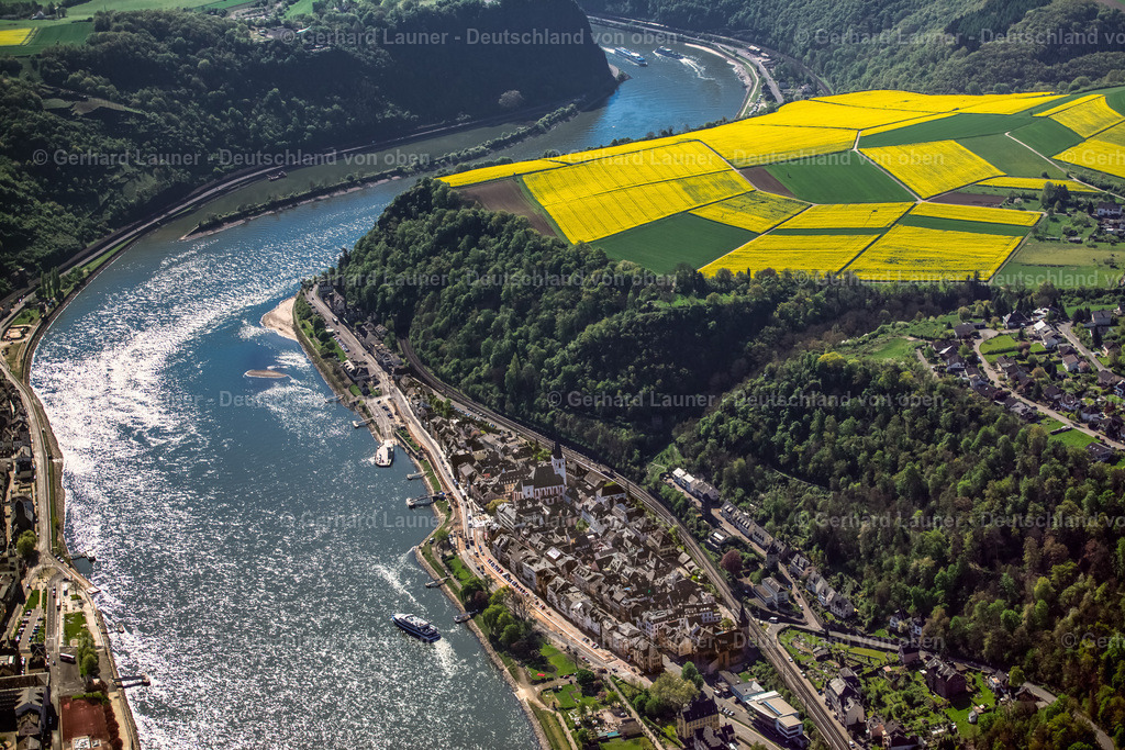 3490456 | Rhein bei St.Goar