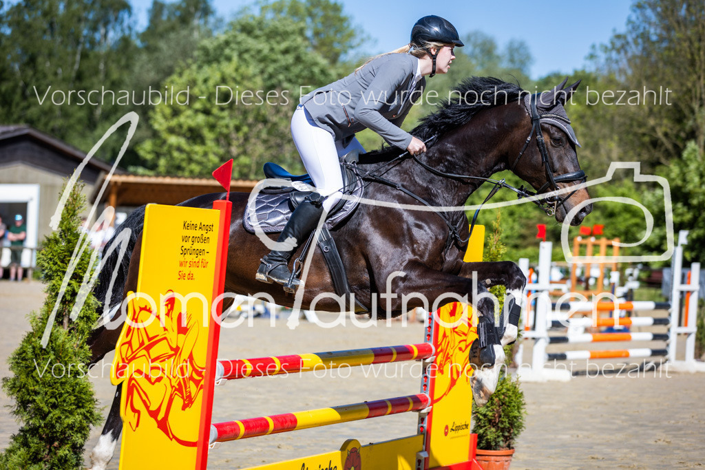 Donop24-A2Spr-040 | MomenTaufnahmen Pferdesportfotos