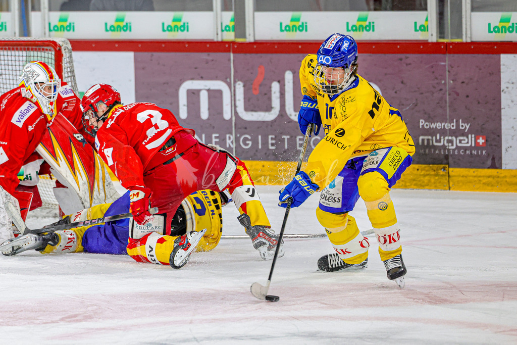 EHCB vs HCD-0764 | Sportbilder, Sportfotograf, Hochzeits- und Eventfotografin, Flugshows, Portraits und Tiershooting, Aviation, Downhill, Nationalleague, Swissleague, International