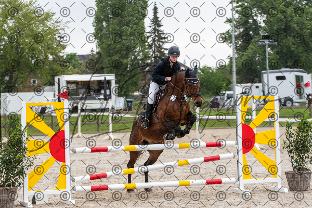 KPT_7512 | andre_photographic