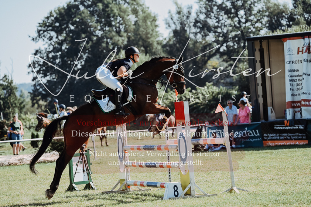DSC_5719 | Pferde- und Turnierfotografie in Westsachsen. Pferdeportraits, Auftragszeichnungen und intuitive Kunst.