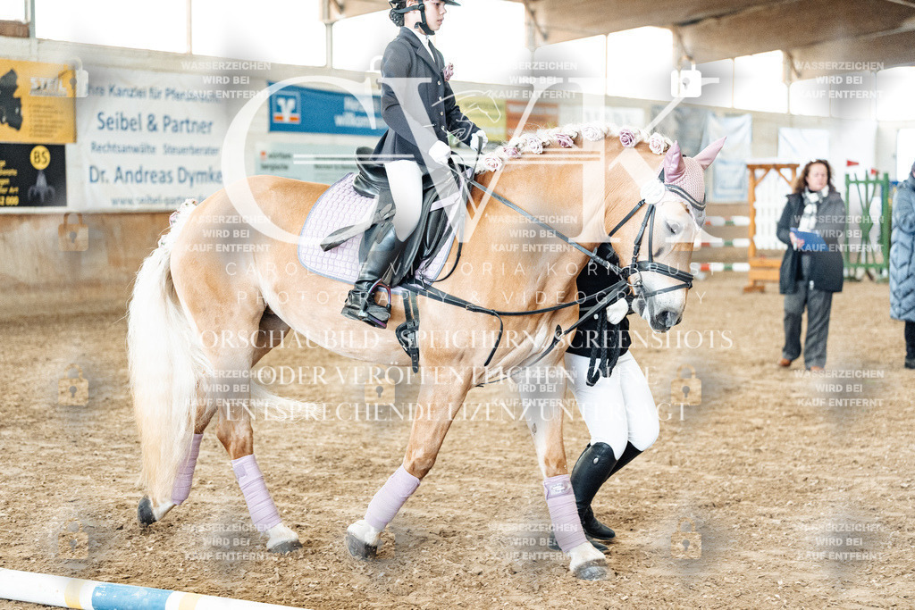 CK905693 | Turnierfotografie Pferdefotografie Trier Rheinland-Pfalz Pferdesport Reitsport Tierfotografie Sportfotografie Pferdevideo Pferdevideografie Equestrianvideography equestrianphotography  - Realized with Pictrs.com