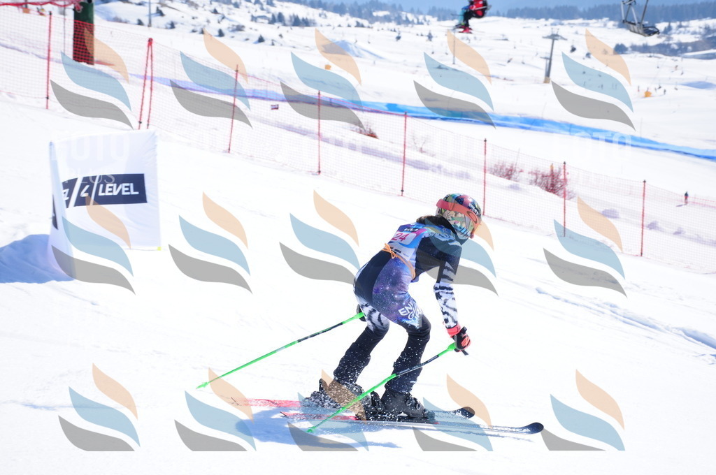 DSC_3855 | holidayphoto